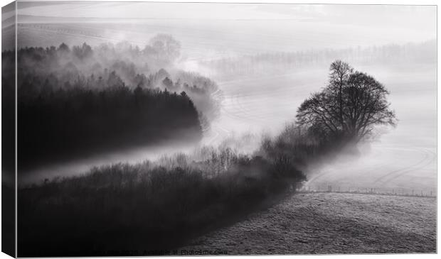 Black and white mist landscape Canvas Print by Simon Bratt LRPS