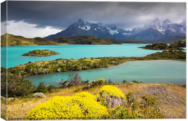 Torres del Paine National Park Canvas Print by Ashley Cooper