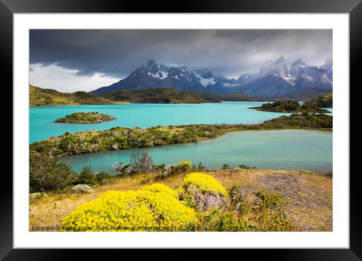 Torres del Paine National Park Framed Mounted Print by Ashley Cooper