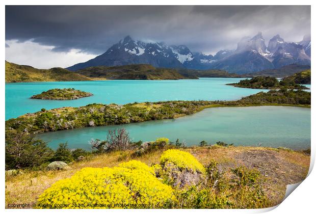 Torres del Paine National Park Print by Ashley Cooper