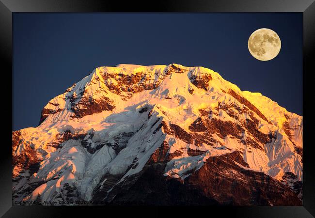 Alpenglow moon. Framed Print by Ashley Cooper