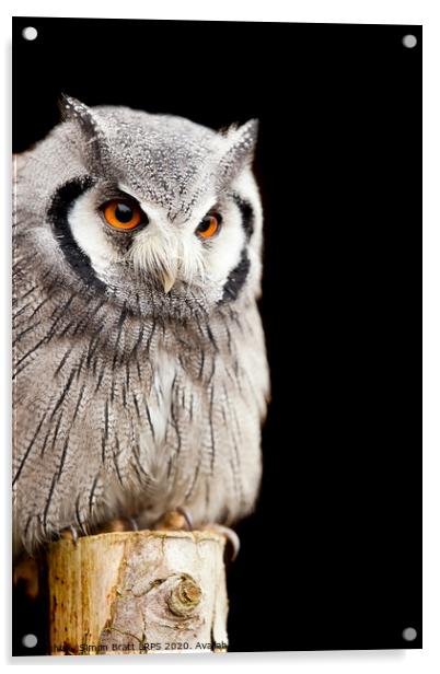 Owl on a post Acrylic by Simon Bratt LRPS