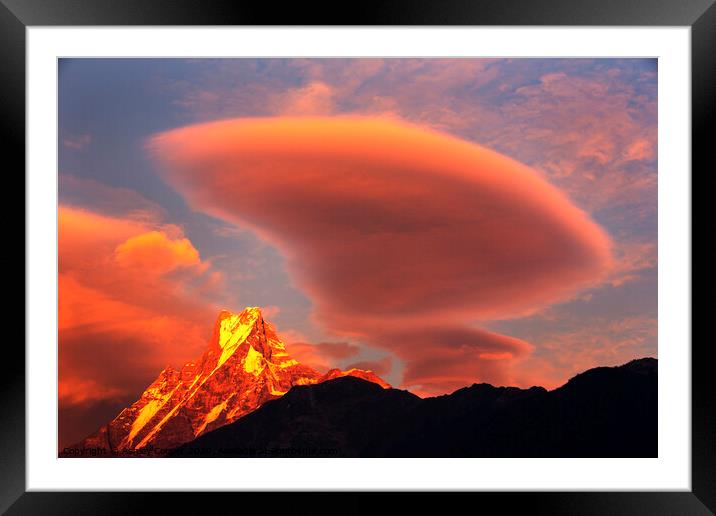 Machapuchare Framed Mounted Print by Ashley Cooper