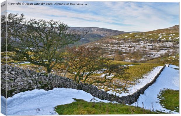 Upper Wharfedale, Yorkshire. Canvas Print by Jason Connolly