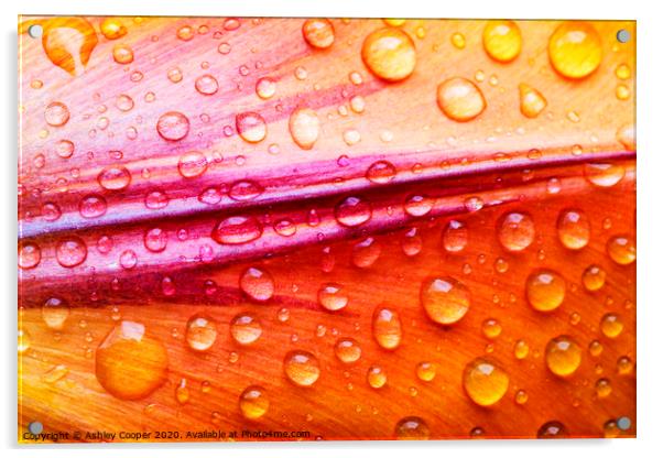 Droplet. Acrylic by Ashley Cooper