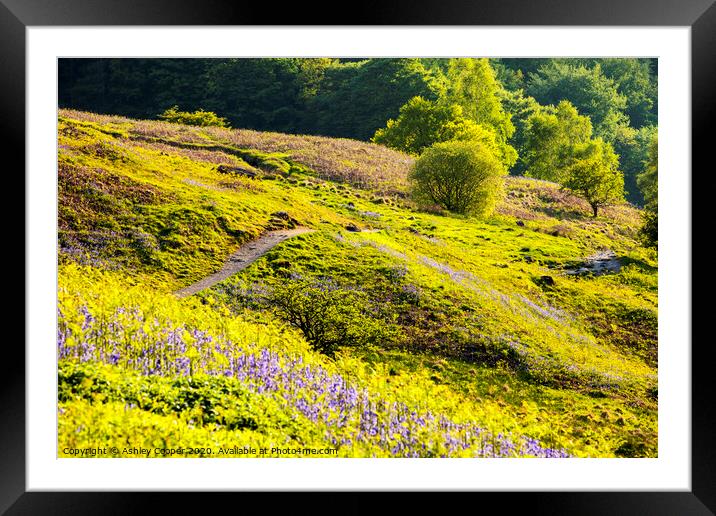 Loughrigg Terrace. Framed Mounted Print by Ashley Cooper