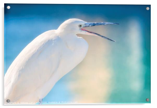 Great egret bird Acrylic by Aleksey Zaharinov