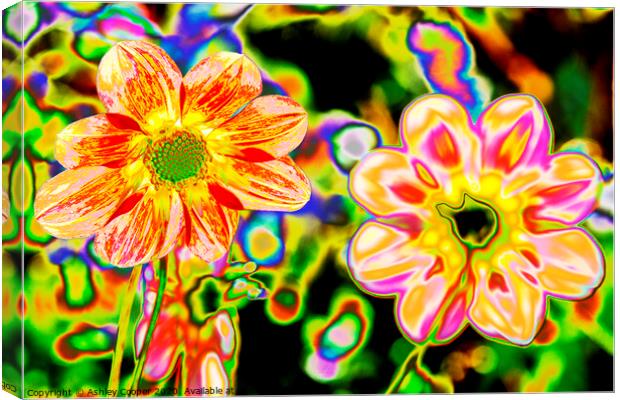 Hippy flowers Canvas Print by Ashley Cooper