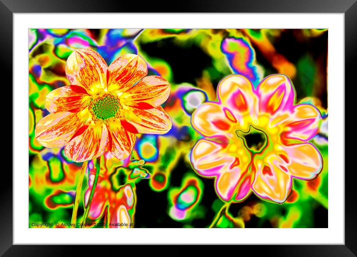 Hippy flowers Framed Mounted Print by Ashley Cooper