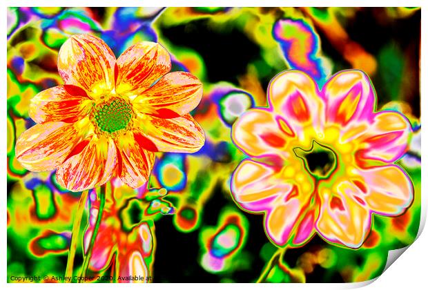 Hippy flowers Print by Ashley Cooper