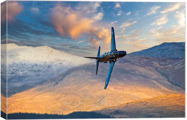 RAF Hawk Trainer Canvas Print by Rory Trappe