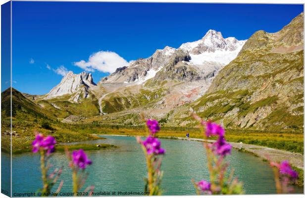 Alps. Canvas Print by Ashley Cooper
