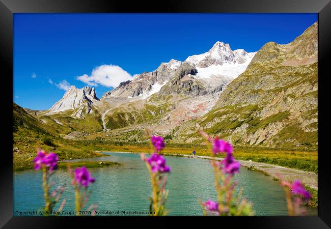 Alps. Framed Print by Ashley Cooper