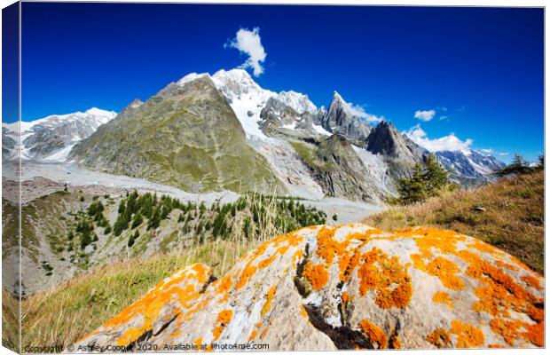 Glacial retreat. Canvas Print by Ashley Cooper