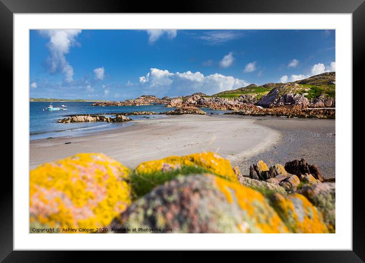 Lichen  Framed Mounted Print by Ashley Cooper