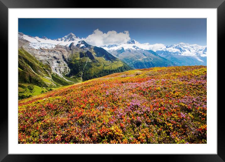 Glacier Autumn. Framed Mounted Print by Ashley Cooper