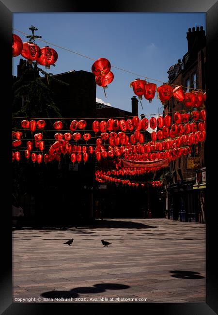 Lanterns and birds Framed Print by Sara Melhuish