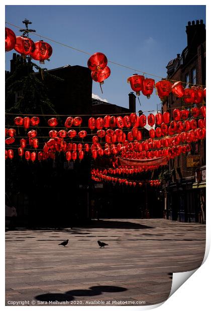 Lanterns and birds Print by Sara Melhuish