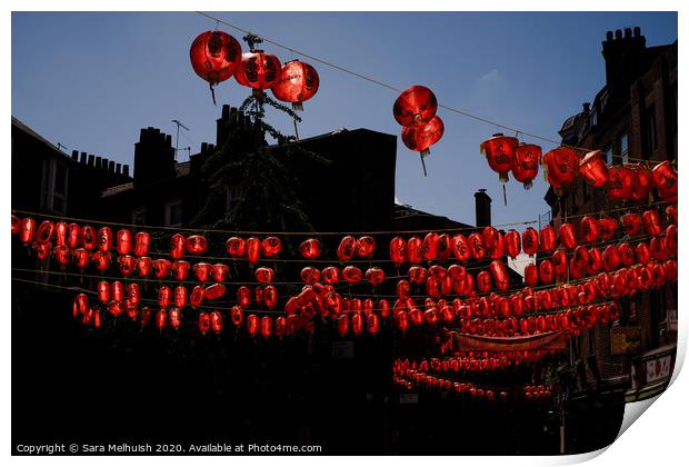 Chinese lanterns Print by Sara Melhuish