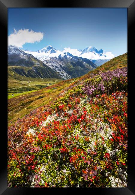 Chamonix valley. Framed Print by Ashley Cooper