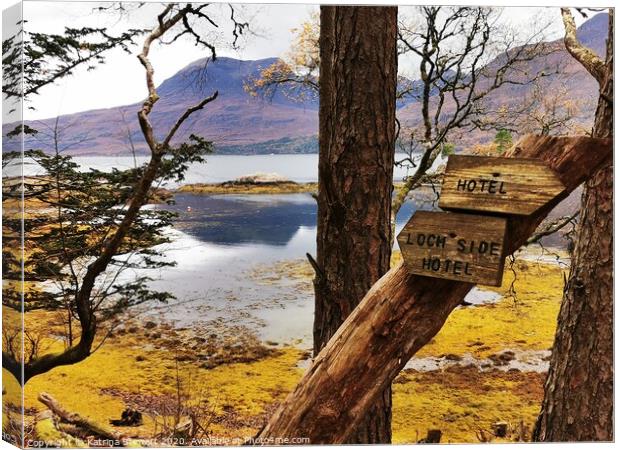 A peek through the trees.  Canvas Print by Katrina Stewart