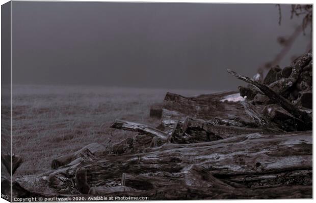 Outdoor woodpile Canvas Print by Paul Tyzack