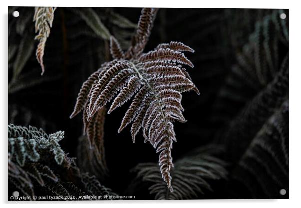 Icy fern Acrylic by Paul Tyzack