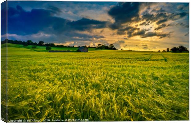 Barley sunset. Canvas Print by Bill Allsopp