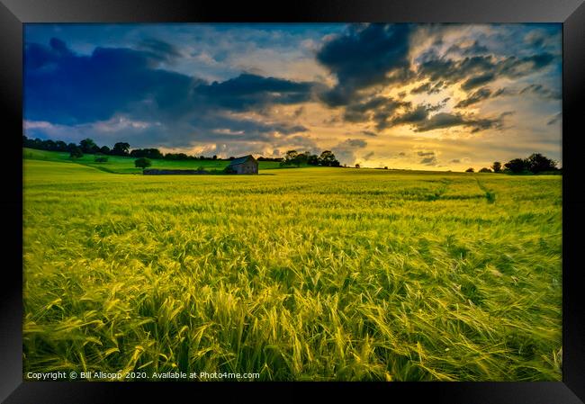 Barley sunset. Framed Print by Bill Allsopp