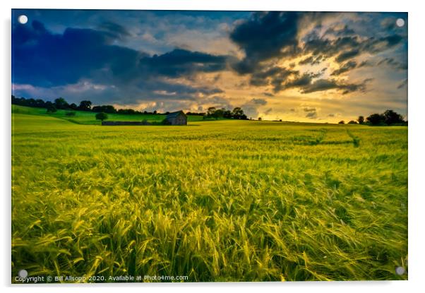 Barley sunset. Acrylic by Bill Allsopp