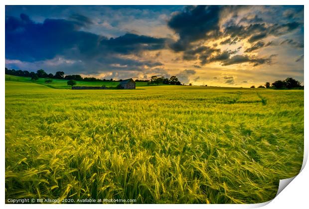 Barley sunset. Print by Bill Allsopp