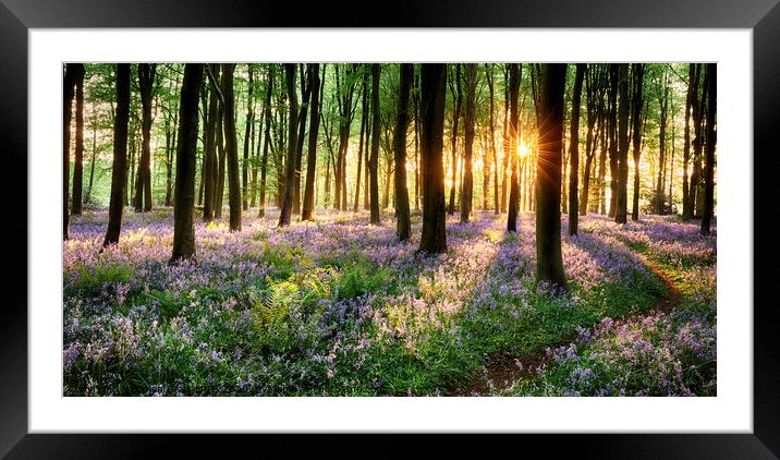 Path through bluebell woods Framed Mounted Print by Simon Bratt LRPS