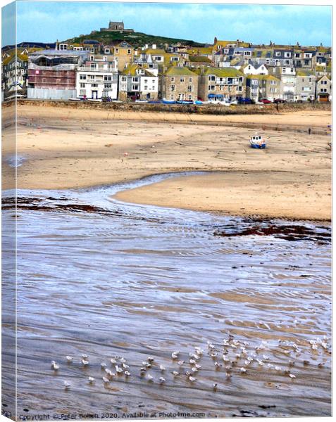 St. Ives Harbour at low tide viewed from the Harbour Beach. Cornwall, UK. Canvas Print by Peter Bolton