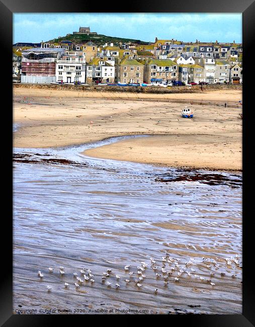 St. Ives Harbour at low tide viewed from the Harbour Beach. Cornwall, UK. Framed Print by Peter Bolton