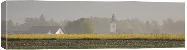 Rapeseed Canvas Print by Ian Middleton