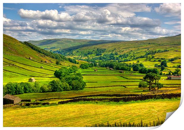 Looking Down the Dale Print by Trevor Kersley RIP