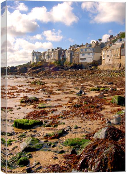 'Harbour Beach' St. Ives, Cornwall, UK Canvas Print by Peter Bolton