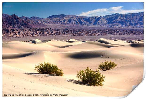 Dunescape Print by Ashley Cooper