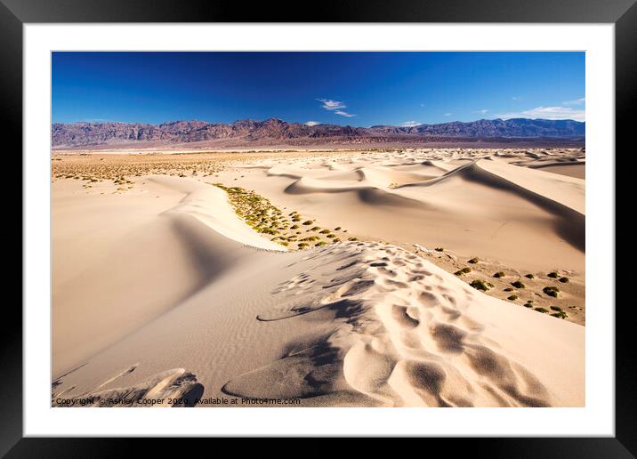 Footsteps Framed Mounted Print by Ashley Cooper