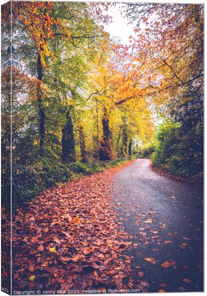 Autumn Lane Canvas Print by Jonny Gios