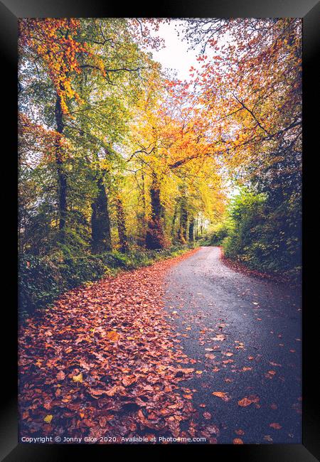 Autumn Lane Framed Print by Jonny Gios