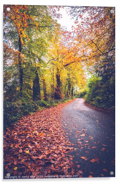Autumn Lane Acrylic by Jonny Gios