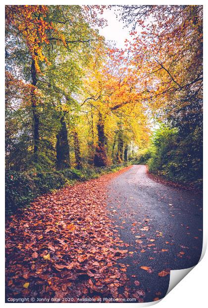 Autumn Lane Print by Jonny Gios