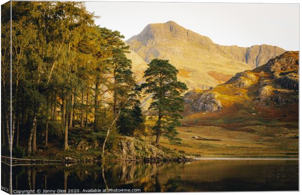 Langdale Pikes through the trees at Blea Tarn  Canvas Print by Jonny Gios