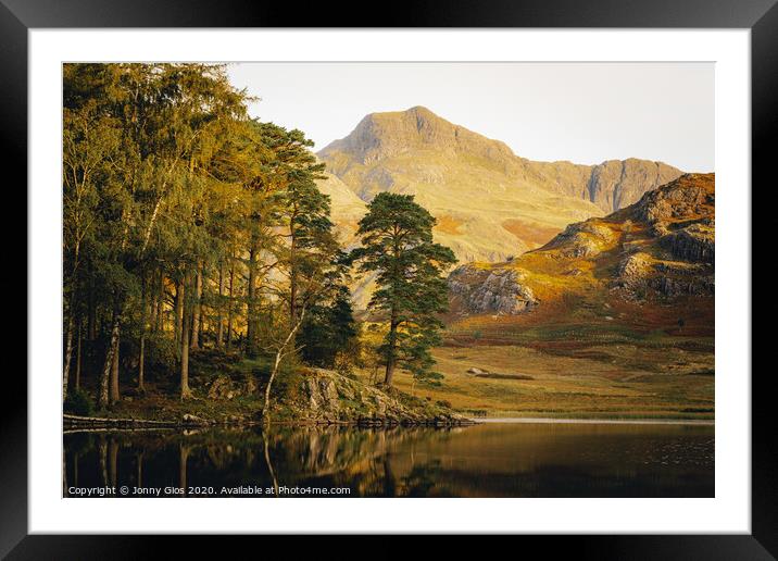 Langdale Pikes through the trees at Blea Tarn  Framed Mounted Print by Jonny Gios