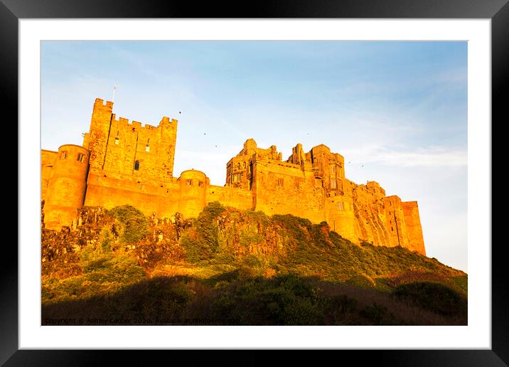 Bamburgh Castle Framed Mounted Print by Ashley Cooper