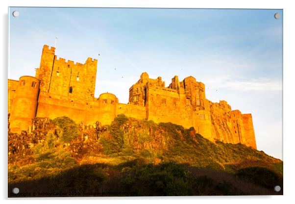 Bamburgh Castle Acrylic by Ashley Cooper