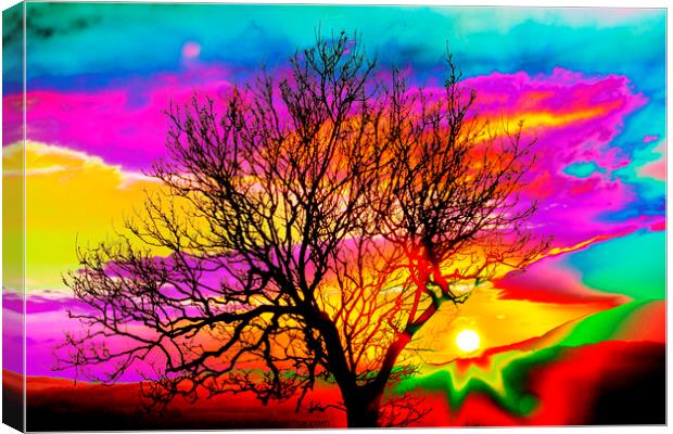 Hippy sunset. Canvas Print by Ashley Cooper