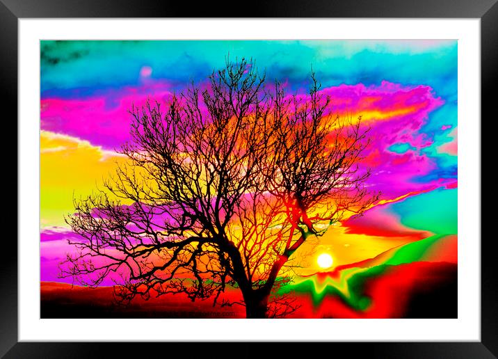Hippy sunset. Framed Mounted Print by Ashley Cooper