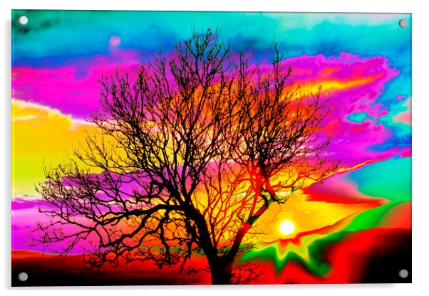 Hippy sunset. Acrylic by Ashley Cooper